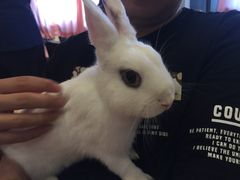 -藦茜花园宠物主题亲子互动体验馆(国顺东路店)