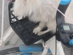 -宠物家(长阳店)