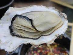 -蚝山·喷汽火山生蚝(前福路店)
