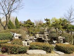 -扬州市茱萸湾风景区