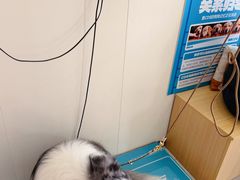-美联众合动物医院·24h京西诊疗中心