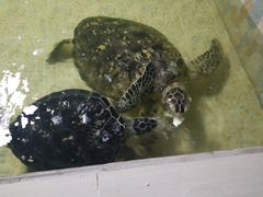 -常州海昌海洋探索馆