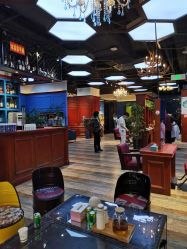 -东晨宝格丽品质造型