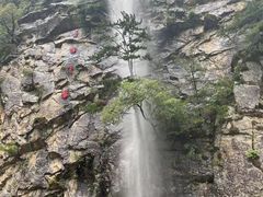 -青峰峡国家森林公园