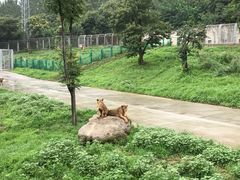 -西安秦岭野生动物园
