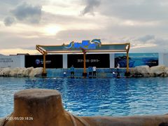 -三亚海昌梦幻海洋不夜城