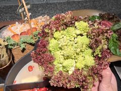 -大龙燚·旷野鲜火锅(广州首店)