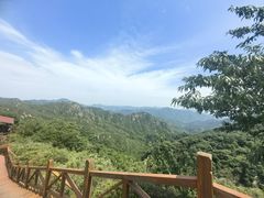 -大岭沟猕猴桃谷风景区