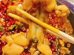 香辣牛蛙-老青岛锅贴炉包