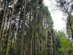 -太阳湾风景区