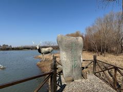 -溱湖国家湿地公园