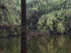 -番禺大夫山森林公园