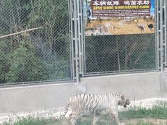 -上海野生动物园