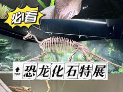 -遇见博物馆(遇见海洋沉浸式奇幻光影展)