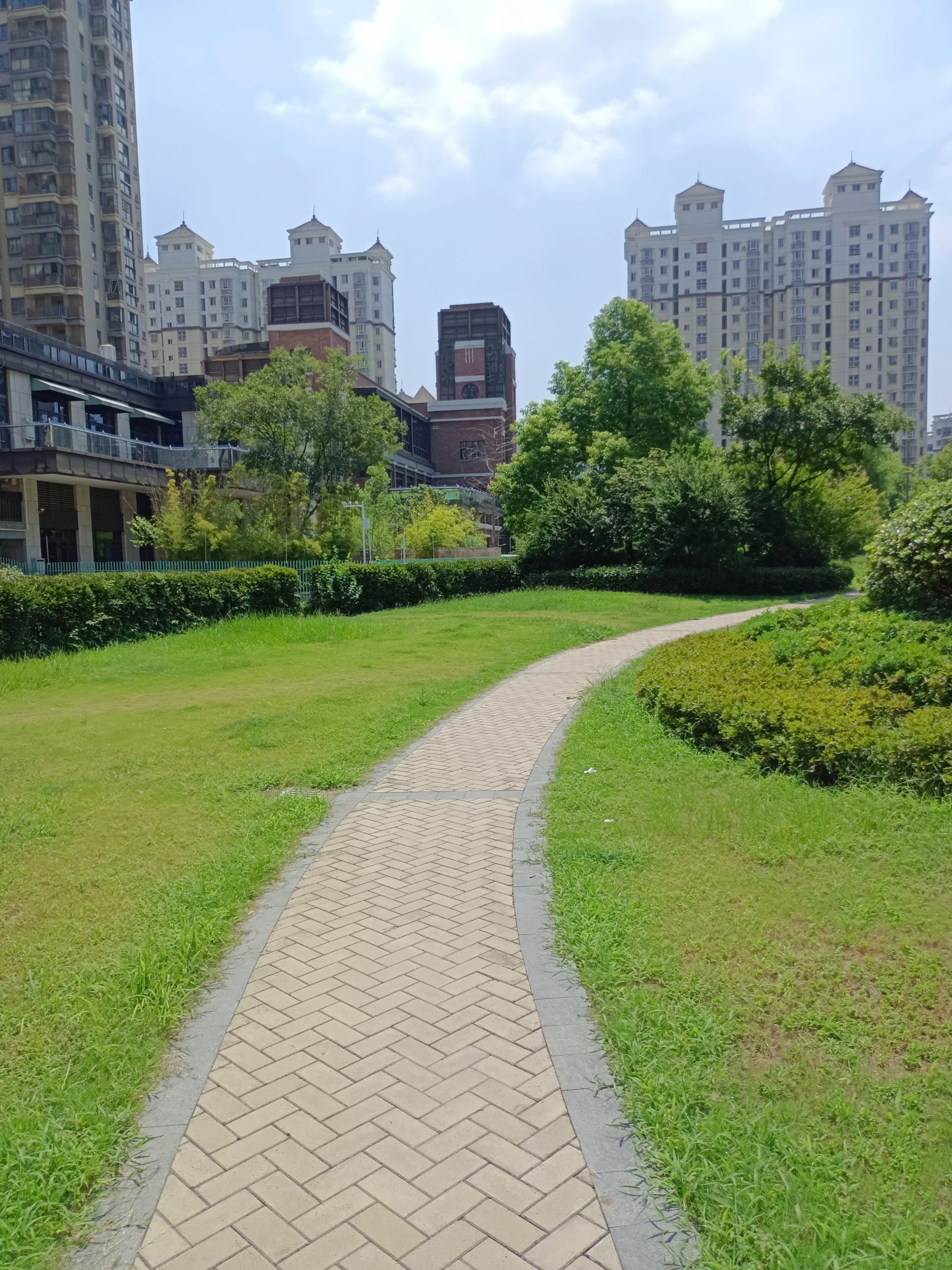漫步在公园的小道上