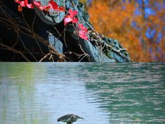 -尚湖风景区