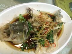 -京都老蔡记(伊河路店)