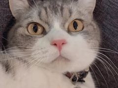 -猫和宫(六道口店)