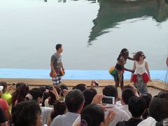 -秦皇岛乐岛海洋王国