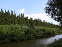 -黄海国家森林公园