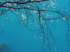 -叠溪松坪沟景区