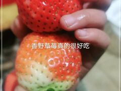 -大自然农场蔬菜草莓采摘园