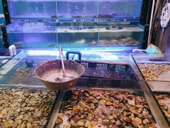 水产区-领鲜活海鲜榴莲自助火锅(东门店)