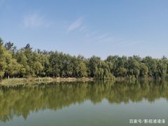 -塘沽森林公园