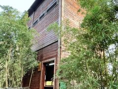 -华侨城湿地公园