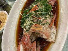 -金鮀岛潮州酒家