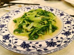 -梅龙镇酒家(南京西路总店)
