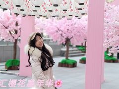 -金茂览秀城