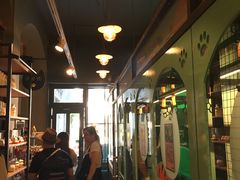 -猫咪博物馆(顶澳仔猫街店)