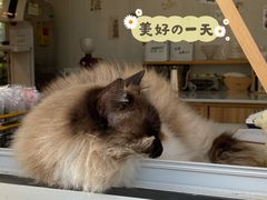 -灯塔咖啡馆BOOK·Coffee Shop