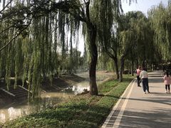 -堤角公园
