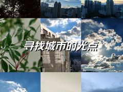 -莲花山公园