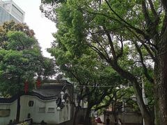 -福州市仓山小学