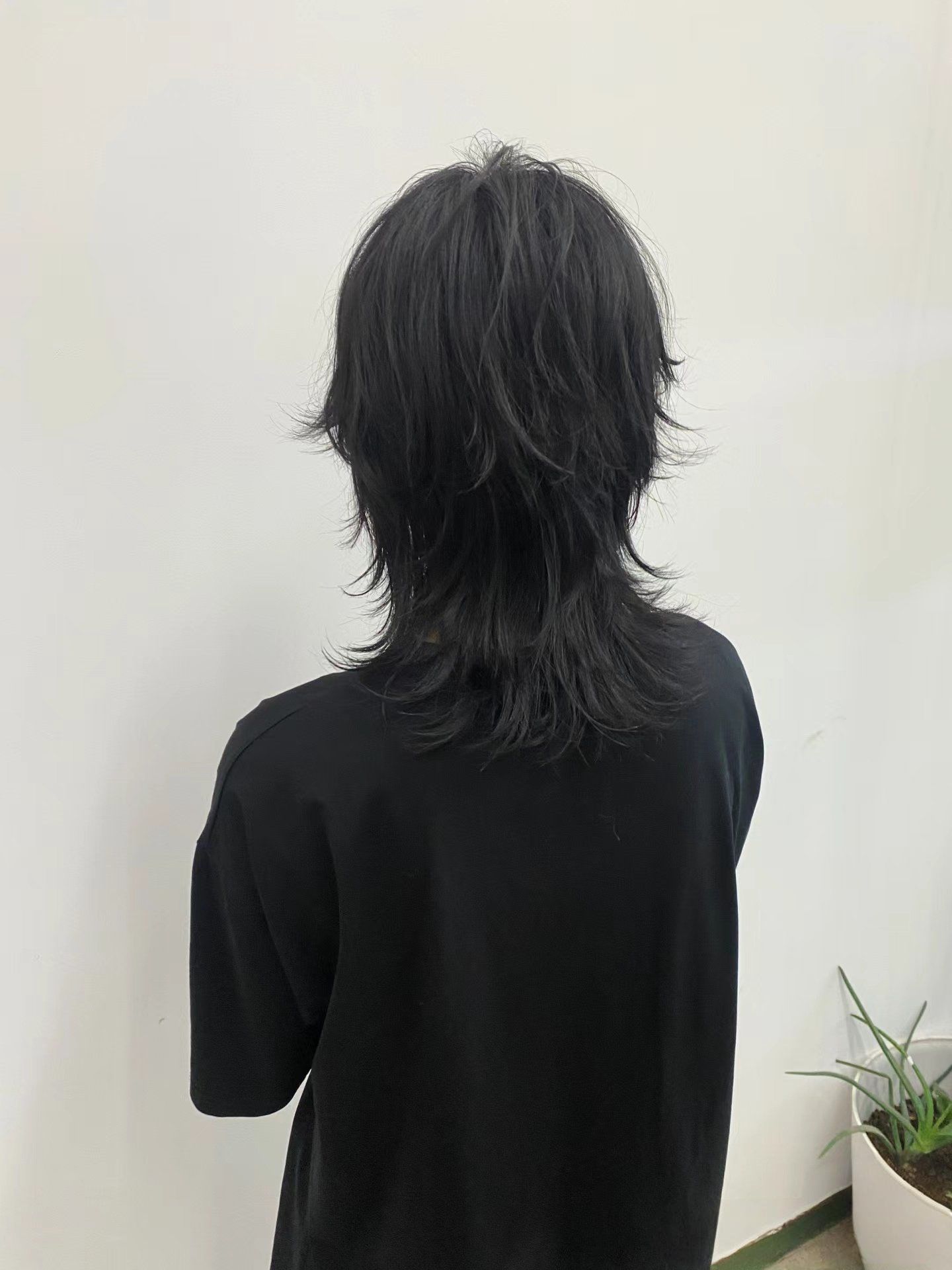 狼尾鲻鱼头