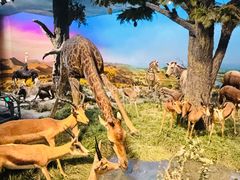 -国家自然博物馆