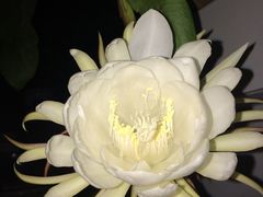 -晓港公园