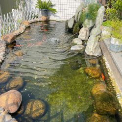 -维倪月子会所(独栋庭院·南海店)