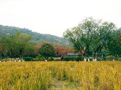 -八卦田遗址公园
