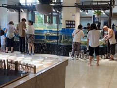 -四海蒸鲜蒸汽海鲜自助(北戴河店)
