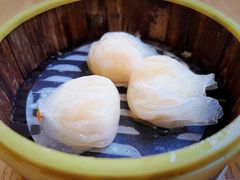 虾饺皇-杨记杏仁茶(椰园店)