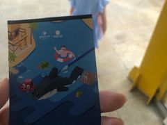 -三亚海昌梦幻海洋不夜城