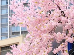 -首开·龙湖成都西宸天街