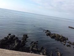 -龙头岩(Dragon Head Rock)