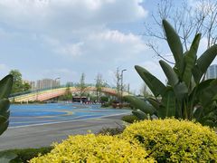 -府河摄影公园