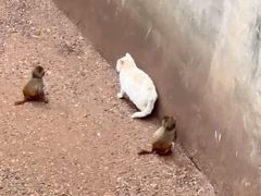 -昆明动物园
