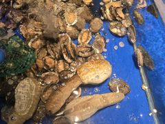 -上和臻品中国菜(花园街店)